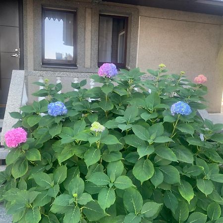カウナスLampedisアパートメント エクステリア 写真